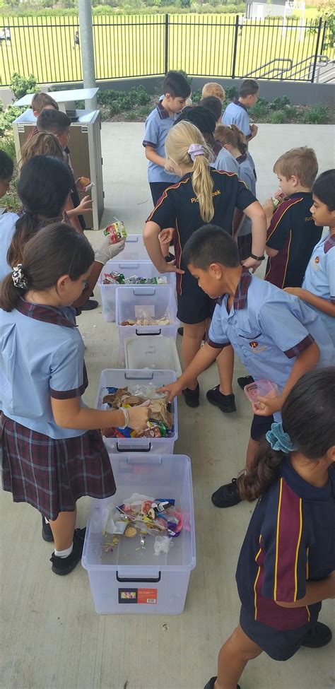 Our Year 4 students are... - Picnic Creek State School