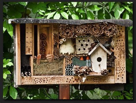 Insect Hotels - Learning Landscapes Design