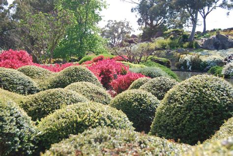 Becky et al: Cowra Japanese Garden