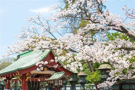 Ueno Park (Ueno Koen), Tokyo | Tickets & Tours - 2024