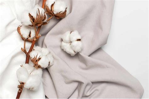 Organic Cotton Fabric - A Guide to Sustainable fabric choice