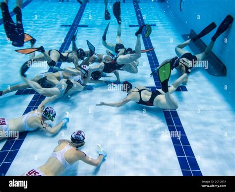 Canadian women athletes swimming underwater at a game of underwater ...