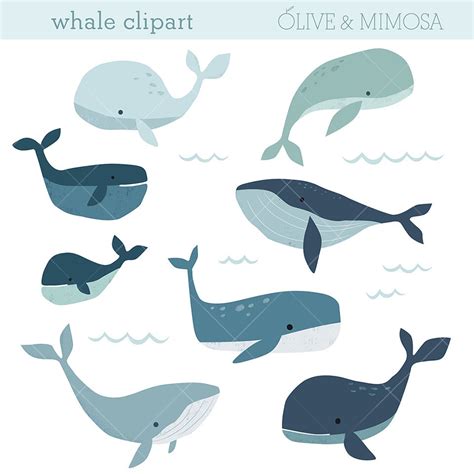 Whale Clip Art Images , Cute Whale Illustrations, Ocean, Sea Life ...