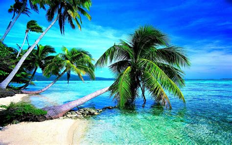 Tropical Beach Screensavers and Wallpaper (67+ images)