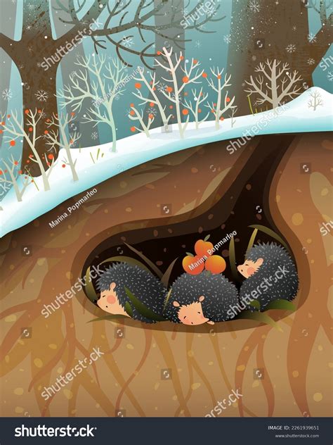 Hedgehog Family Sleeping Hibernating Den Burrow Stock Vector (Royalty ...