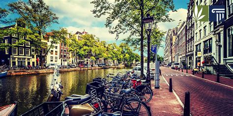 Amsterdam Mayor Wants To Ban Tourists From Buying Weed | Marijuana and ...