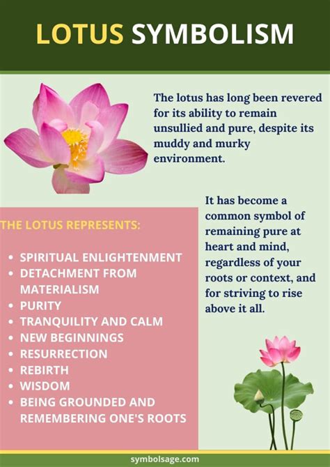 What Does the Lotus Flower Really Mean? - A Guide