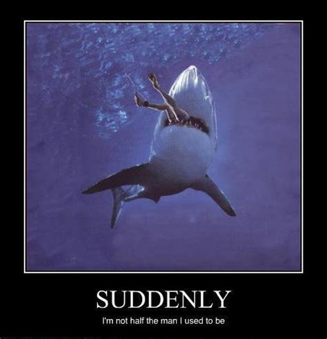 Best Shark Memes | POPSUGAR Tech