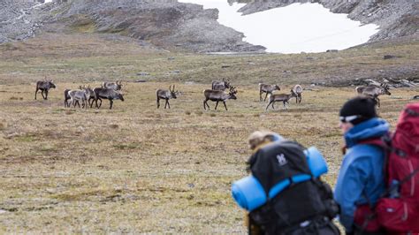 The hiking guide – Hiking in the mountains, Swedish Lapland