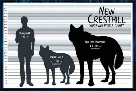 NCH Werewolf Size Chart [Closed] by SummonWolf | Werewolf, Dire wolf ...