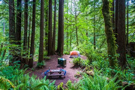 Campsites In Redwood National Park | Kids Matttroy