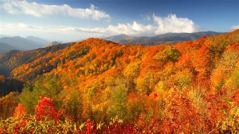 Smoky Mountains Fall: 2023 Festivals and Foliage Guide