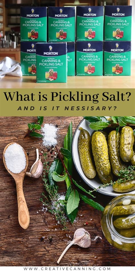 What is Pickling Salt? (And Substitutions) - Creative Canning