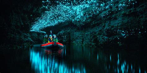 Exploring Waitomo Glowworm Caves | Relaxing Journeys