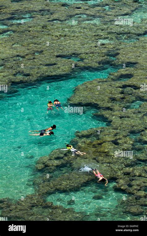 People snorkelling among coral reef at Hanauma Bay Nature Preserve ...