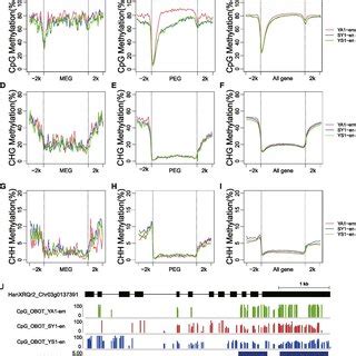 The DNA methylation pattern at imprinted genes. A-C Average DNA ...