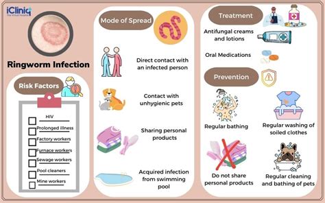 What Are the Manifestations of Ringworm Infection?