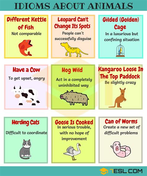 48+ Animal Idioms Worksheet PNG | suplemento-mineral-milagroso