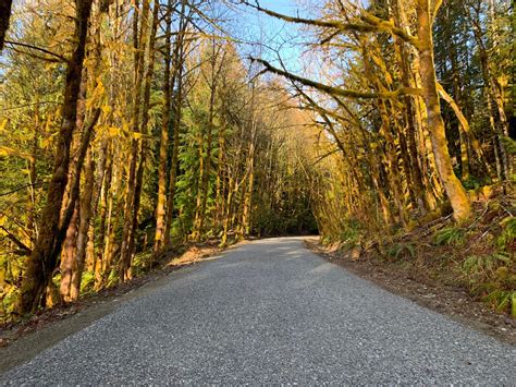 Rejuvenating and Reopening the Popular Cowichan Valley Trail | TranBC