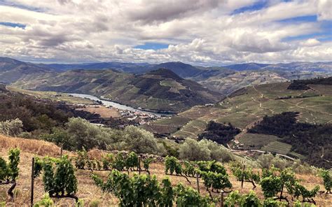 Explore the Breathtaking Beauty of the Portuguese Douro River Valley on ...