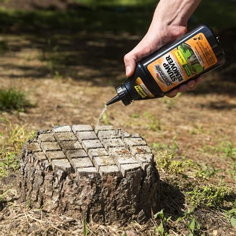 8 Best Tree Stump Killer Reviews - Remove Tree Stumps With Little ...