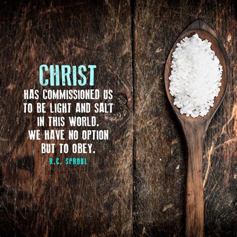 Christ has commissioned us to be light and salt in this world ...