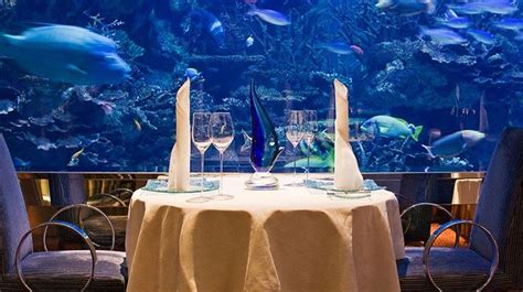 Al Mahara, Dubai - experiential underwater dining with a stunning floor ...