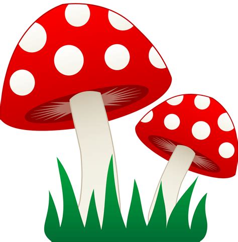 Mushroom fungi clipart - Clipground