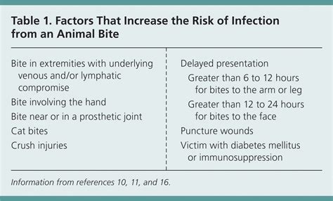 Dog and Cat Bites | AAFP