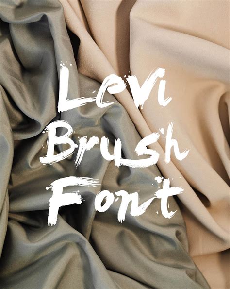 Levi Brush Font Free Download