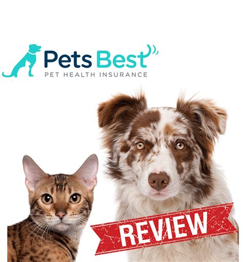 Pet Insurance Reviews | Best & Worst of 2016