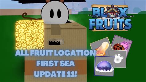 Blox Fruits All Fruit Locations First Sea! (UPDATE 11) - YouTube