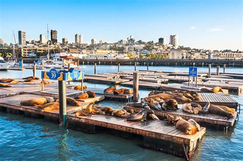 Fisherman's Wharf in San Francisco - Walk Along San Francisco's Iconic ...