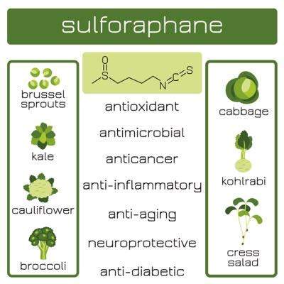 The Health Benefits Of Broccoli Sprouts