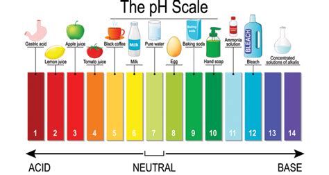 [Solved] A gardener performs some text on his soil and determine that ...