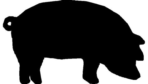 White Show Pig Silhouette - Download the silhouette in eps, jpg, pdf ...