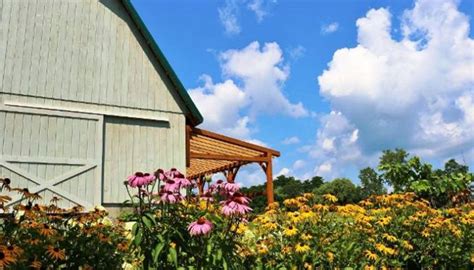 The Finger Lakes Museum hosts community open house | Life in the Finger ...