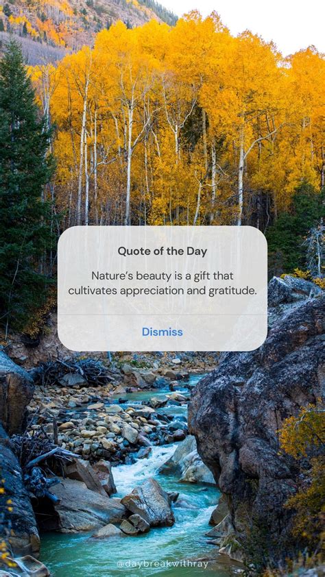 Natural Beauty Quotes For Women