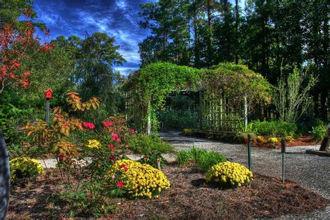 20 Savannah Botanical Garden Ideas To Try This Year | SharonSable