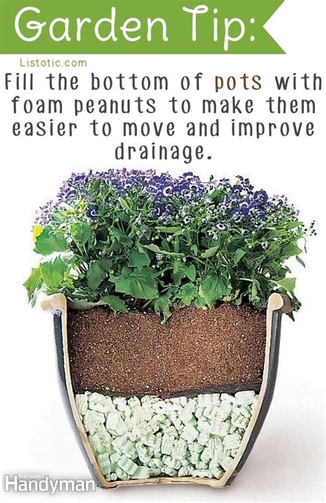 Using Less Soil For Potted Plants | Gardening Forums