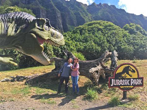 The Best Tours at Kualoa Ranch - The Golden Hour Adventurer