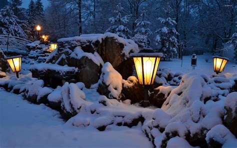 Lamps in the snowy park wallpaper - Nature wallpapers - #35996