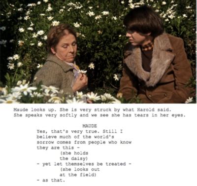 Harold And Maude Quotes. QuotesGram