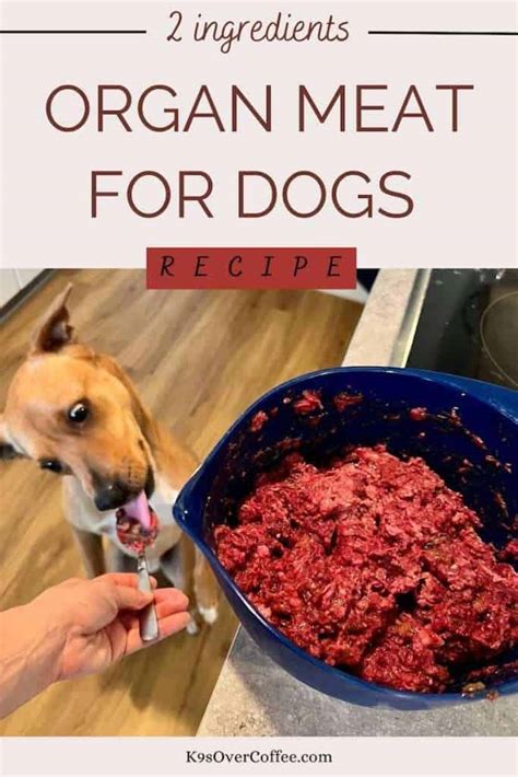 Organ Meat For Dogs Recipe - K9sOverCoffee - A Dog Health & Raw Dog ...