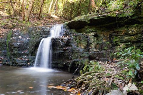 Cascade Falls: Pine Mountain Trail at FD Roosevelt State Park