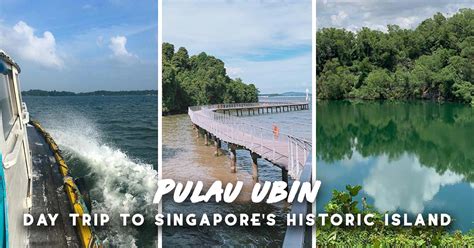 Pulau Ubin Guide — A Local’s Guide to Exploring This Hidden Gem - The ...