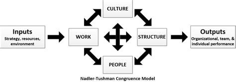 The Nadler Tushman Congruence Model in Project Management