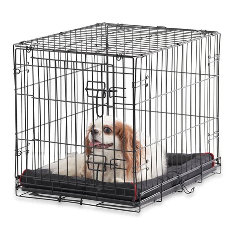 Vibrant Life Single-Door Folding Dog Crate with Divider, 24" - Walmart.com