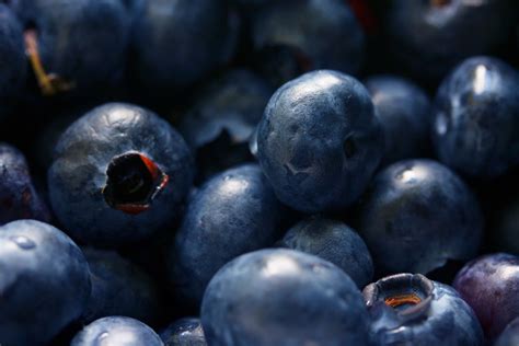 Types Of Berry Fruits