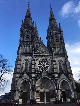 St Fin Barre's Cathedral, Cork - TripAdvisor